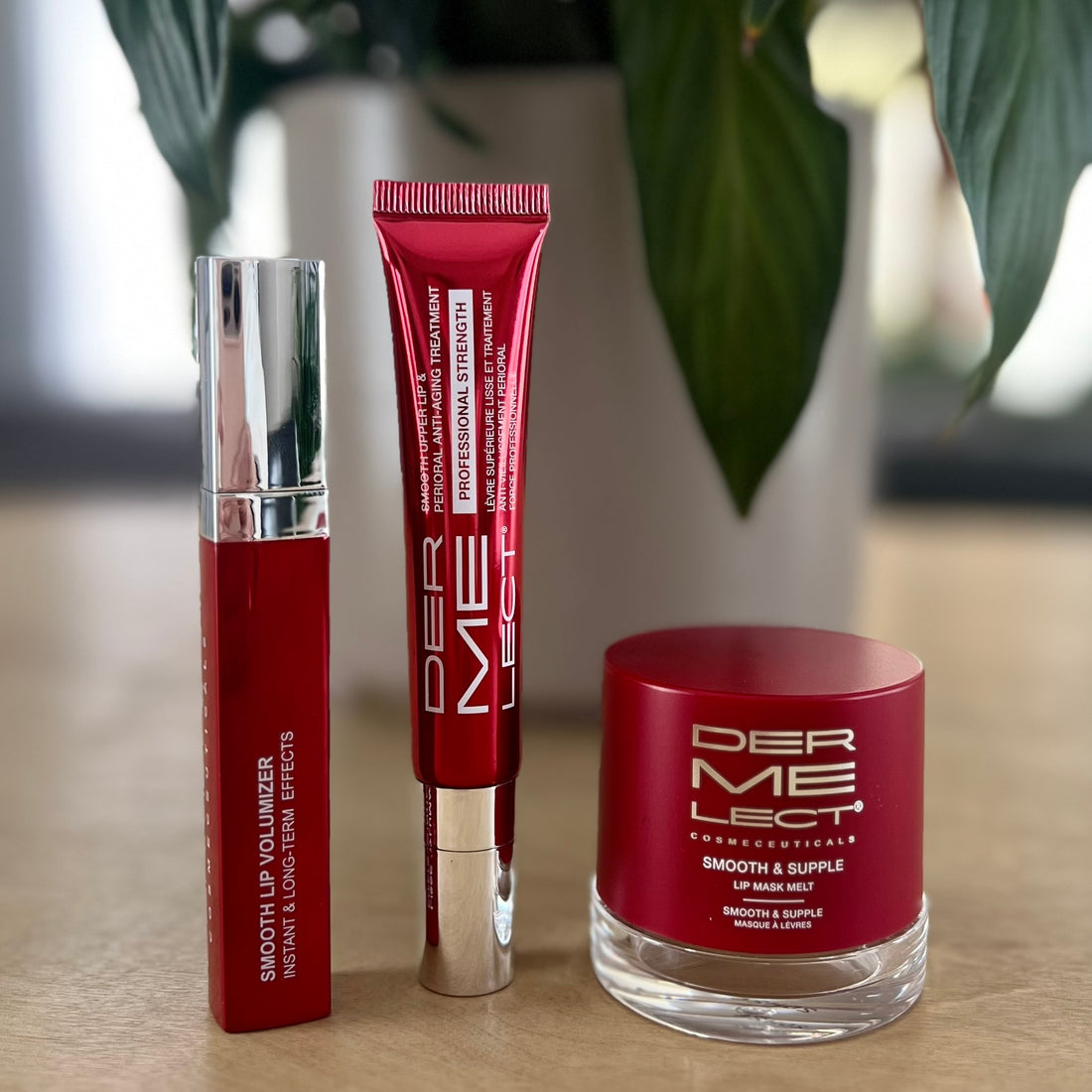 The Perfect Pout Kit Trio